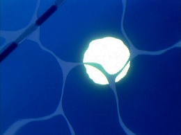 File:Nerv swimming pool.jpg