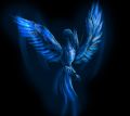 Dark Blue Phoenix.jpg