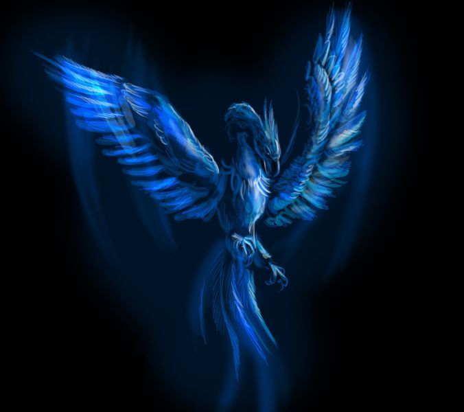 File:Dark Blue Phoenix.jpg